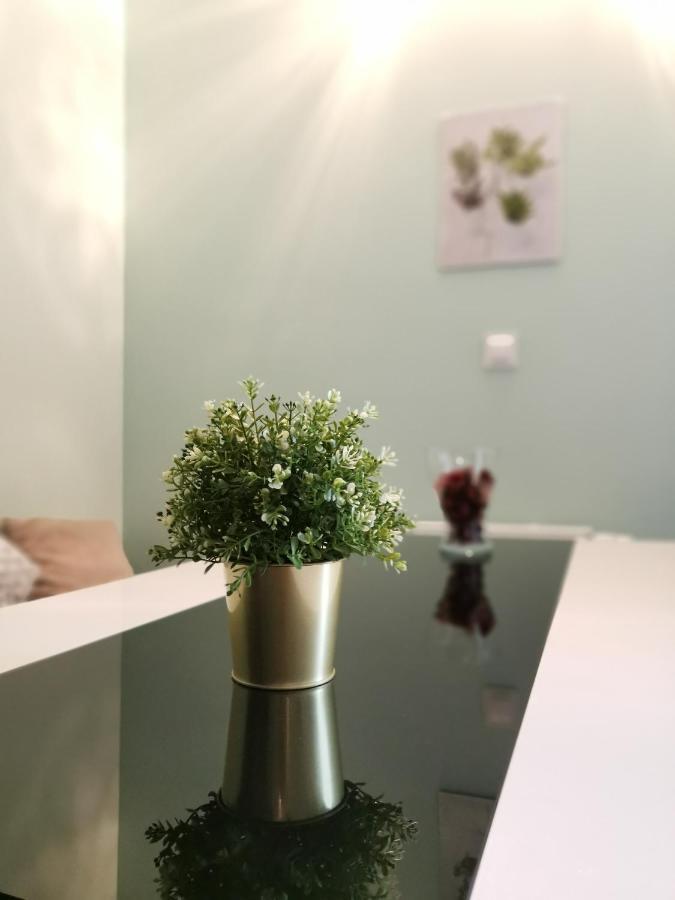 Maglonia Apartment Wroclaw Exterior photo